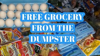 buhayamerika FREE GROCERY FROM THE DUMPSTER||DUMPSTER DIVING MIAMI||ALEX & BYRON||SIMPLY LIVING…