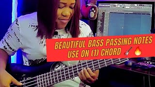 Beautiful bass passing notes use on (1) chord 🎸🔥