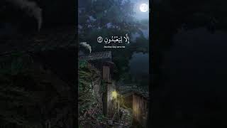 أرح سمعك 🥀القارئ: ماهر المعيقلي 🍃حالات واتس آب