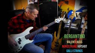 Valenti T21-P5  bass with Nordstrand pickups & 2 band preamp - Andy Irvine