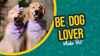 Moda pet é com a BE DOG LOVER!