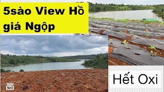 (Đã bán)Ngân hàng Dí bán gấp 5 sào(5000m2)viêw hồ gần dân cư cách quốc lộ 14A 3 km giá ngộp thở