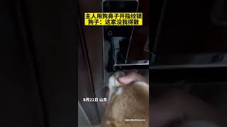 主人用狗鼻子开指纹锁