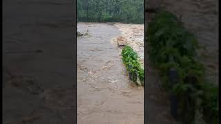 Heavy rain & disaster at Kerala