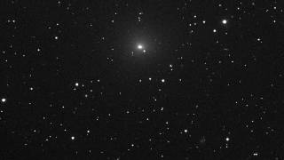 Cometa 41P in 24 martie