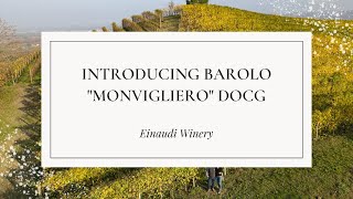 Introducing 2018 Barolo Monvigliero DOCG