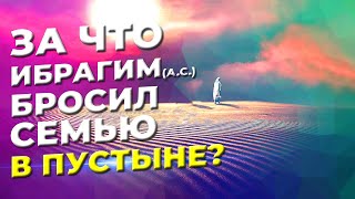 За что Ибрагим (а.с.) бросил свою семью в пустыне?