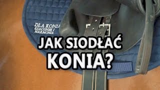 Jak siodłać konia? Początki jazdy konnej