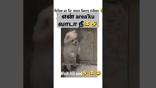 என் area'ku வாடா நீ 🤣#vadivelucomedy #tamilreels #tamilsong #tamilcomedy #tamilnews #vadivel #vijay