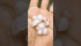 लखनऊ में आसमान से गिरे बड़े बड़े ओले | Hailstorm | तेज ओलावृष्टि #hailstorm #weather #rain #shorts