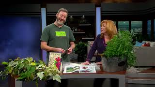 Jason Skipton Shares What to Do in Your Garden Now