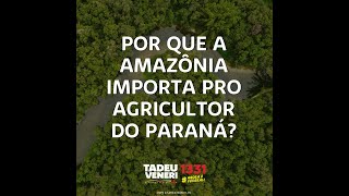 Por que a Amazônia importa pro agricultor do Paraná?