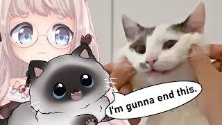 cat ends everything | VTuber Fuwa Reacts to Great Big Story and UNUSUAL MEMES