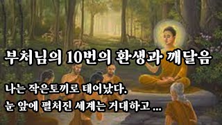 부처님의 10번의 환생과 깨달음 (천 번의 길, 하나의 깨달음)