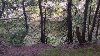 My camping spot at Elora Gorge