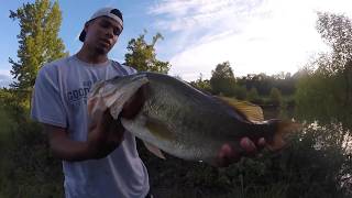 Pond Fishing for Giant Bass