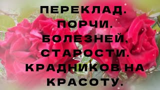 ПЕРЕКЛАД. ПОРЧИ. БОЛЕЗНЕЙ. СТАРОСТИ. КРАДНИКОВ НА КРАСОТУ. +79607714230