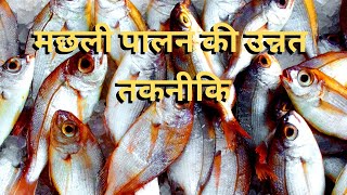 मछली पालन की उन्नत तकनीकि || Fish farming || Fisheries Technology || मछली पालन