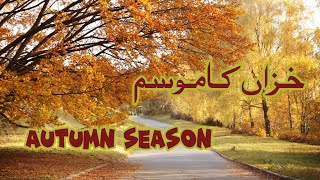 /مضمون موسم خزاں/پت جھڑ/Essay Autumn Season@educationforeveryone668