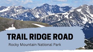 Exploring Trail Ridge Road in ROCKY MOUNTAIN NATIONAL PARK!