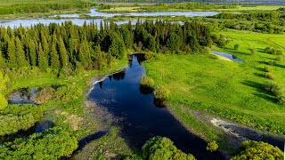 Коларовские водно-болотные угодья | Природа Томской области | Релакс видео 4K