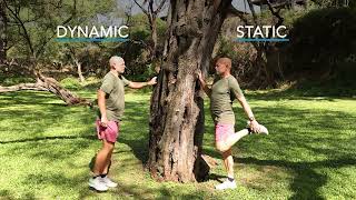 Hawaii Pacific Health Healthier Tips - Dynamic Stretching