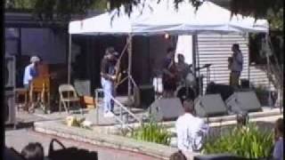 Blues Chakra @ Strawberry Festival (1)