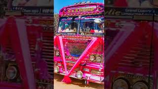 අලුත්ම Trende එක | Dam rajini Kylie | Suranganawi bus