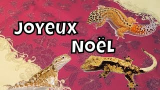 Joyeux Noel