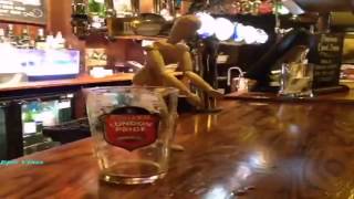 Vine - How to finish Friday Night in london pub