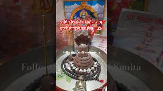 #shivratri #shivratripuja #parthivshivling #sawan #savanmonth #sawansomvar #trending #pradeepmishra