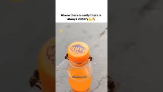 unity is the power  💪 #unity #honeybee #fanta #amazing #funny #power #cool #cute #shorts