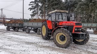 Obornik z kurnika 2019 Ferie 2019 | Ursus|Zetor|