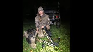 TROPHY SPOTTED BOAR HOG with crossbow- Episode 7