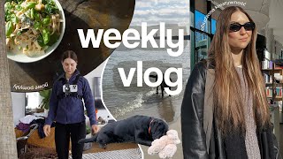 WEEKLY VLOG // wychodzę z nory 🐻 / szybkie obiady 🍲 / urządzanie domu / błotne życie na wiosnę 😑 //