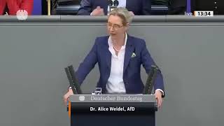 Alice Weidel 🧧 UNGLAUBLICH🧧 Die Ampel will  ganze Welt retten, aber die eigenen Bürger verarmen!"