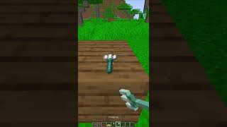 COME FARE GLI SPAGHETTI SU MINECRAFT | #shorts #minecraft