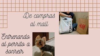 De compras al mall | Entrenando al perrito a sonreir 🐶😁