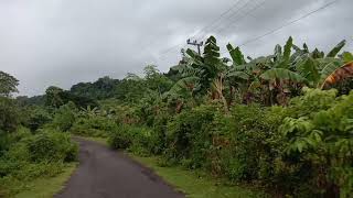 SUASANA SEKITAR KAMPUNG BIRUE - Desa Siawung