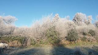 Frosty morning in County Clare December 2022