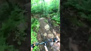 Riding A Flowy Drop Into Table Top Jump #mtb #bike