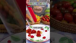 방울토마토를 쉽게 반으로 자르는 방법 #방울토마토슬라이서