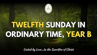 Twelfth Sunday in Ordinary Time, Year B || 23.06.2024 || 9AM