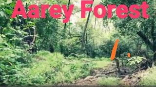 Aarey Colony|आरे कॉलोनी |Aarey Jungle| Picnic Garden| Chota Kashmir Garden |Mumbai