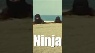 Assassins - Ninja