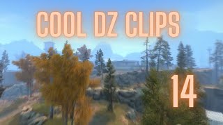 Cool DZ clips 14