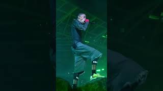 GOOSEBUMPS - Travis Scott - Nice - Circus Maximus Tour