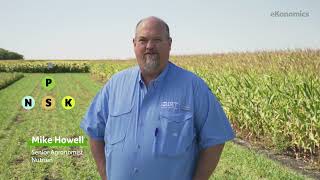 The Importance of Phosphorus for Crop Production