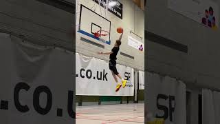 Insane VERTICAL JUMP Progress