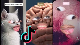 Dimpey6 Tik Tok Compilation June 2021 | Funniest Dimpey6 Tik Tok Times